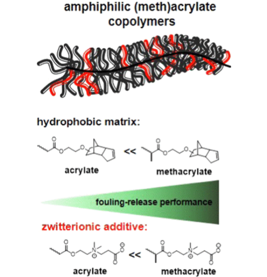 Amphiphilic methacrylate copolymers with examples for hydrophobic matrixes and zwitterionic additives